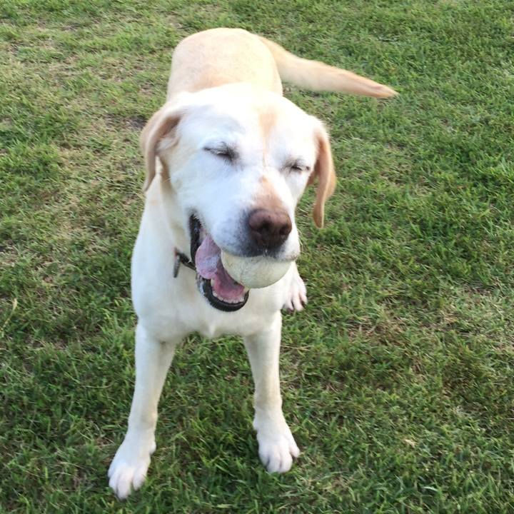 34916422 9777 483c 8900 9f7fc7d3b7b4