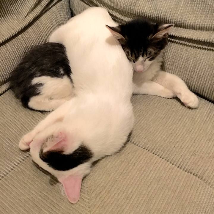 3491c046 8953 47fa bf79 f4ee4f76a037