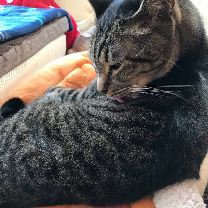 34926f2e 45fe 4190 af0c a24bfeb4ffd4