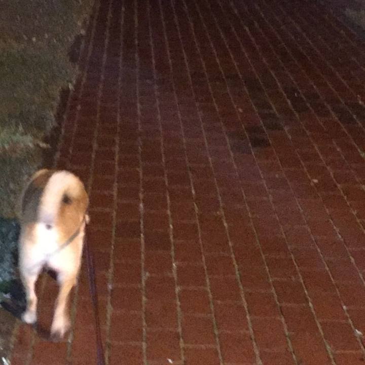 349286c6 a0a3 42e1 9357 1329153b99b3