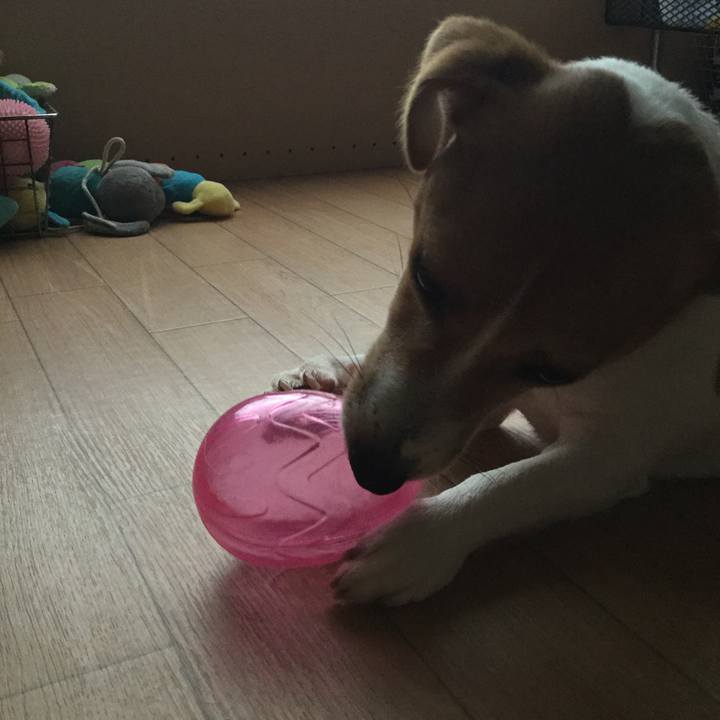 3492a583 8441 47e7 9943 7423d182b2da