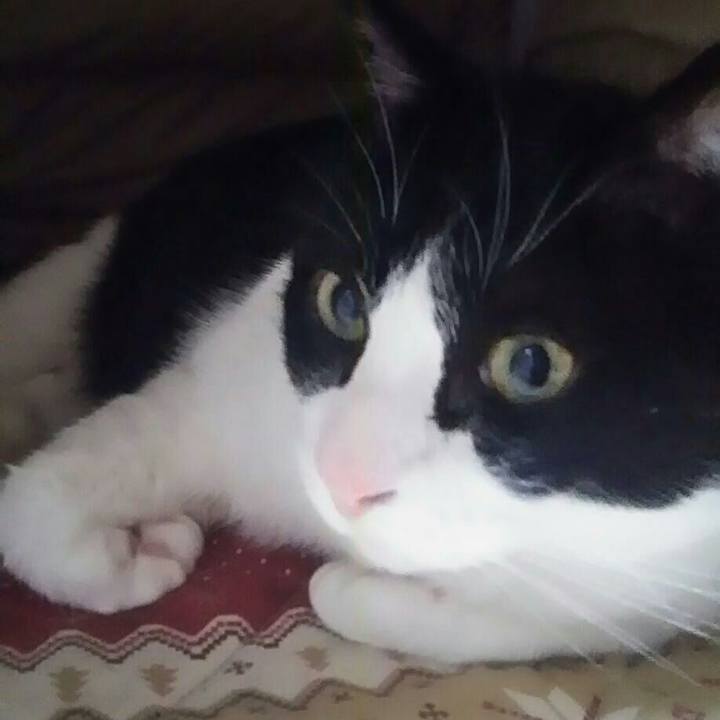 349302f7 c302 43e0 945e 3002d855eb7c