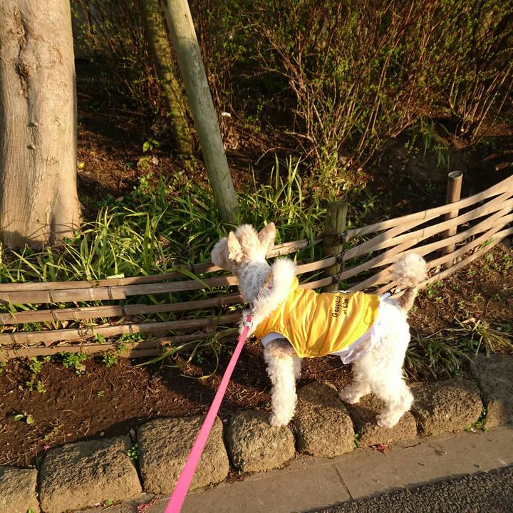 3493c939 5a77 4aef bb8b 3dd9cc511c56