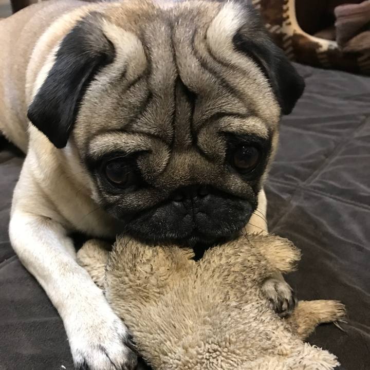 3493ea52 4c0a 4247 a790 c2ade6e0d50b