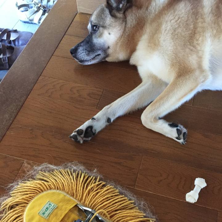 34942601 619c 4ca5 a86c a8ab85728880