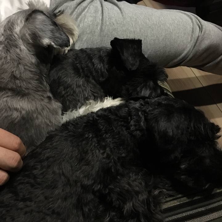 3494c4da c39c 4c04 b7b7 d0d72158d4c1