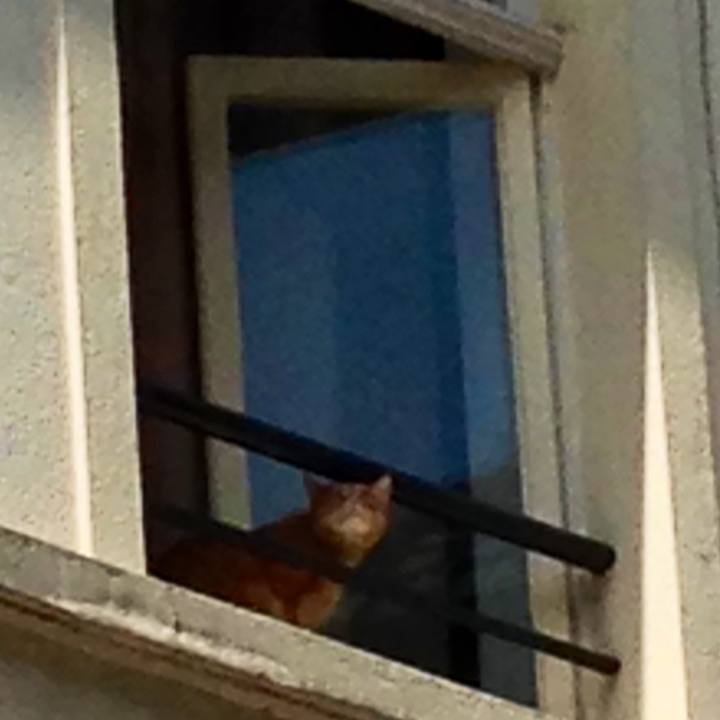 3494e116 8c68 4907 b0ba d7b5fc2278c6