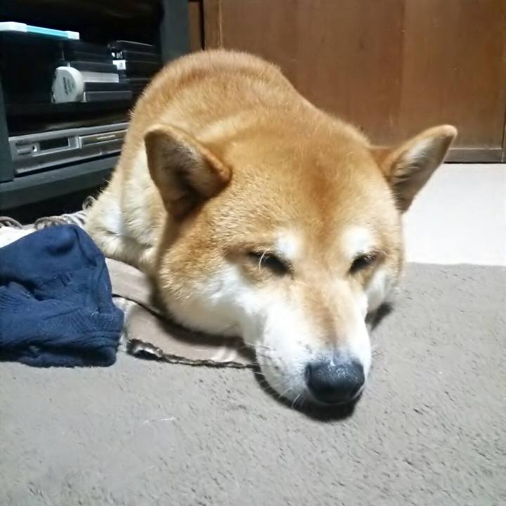 3494f2cd e342 48db 9937 76c544c8bb0b