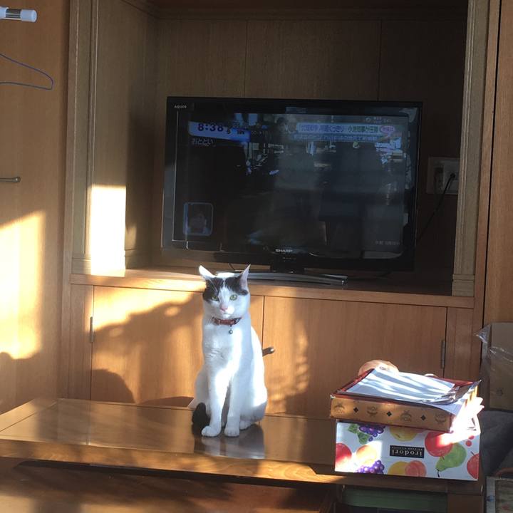 3495513f 4f7c 4715 913b e4503dd8deb1