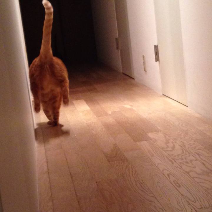 3495d73c 1ccb 464e 9ad6 8c32679d82a2