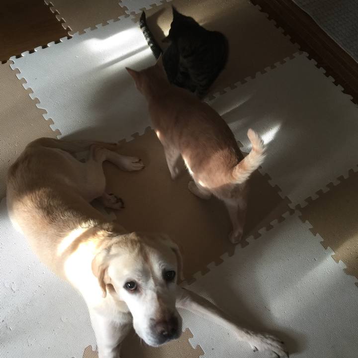 3495e240 ab3b 44d1 96e0 89022e69152f