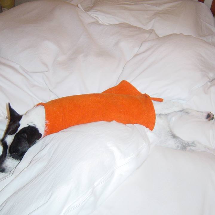 349639a4 8975 4292 ac5a 7b2be327386d