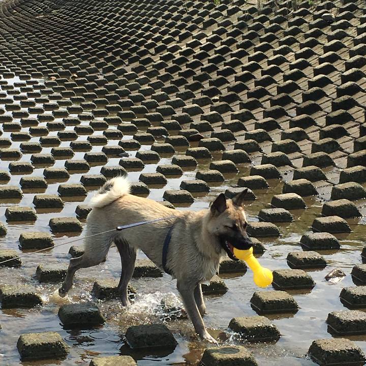 3497dbcc 8c7b 454b 9597 535bb5c5835d