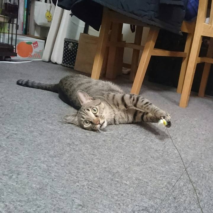 3497f31c bf3d 4134 b83c 3dea6b4b28b7