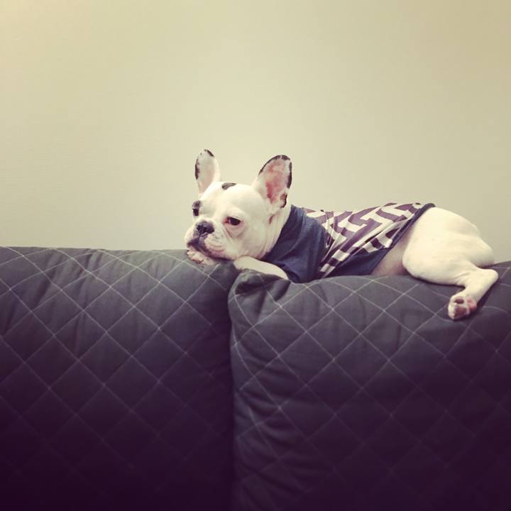 3499aa5d 8bf1 442f 948d 9014fd9bec91