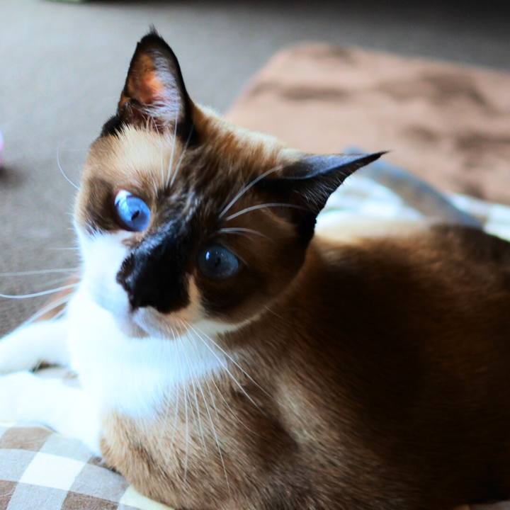 3499ecde 781a 4128 820a c33798911a4c