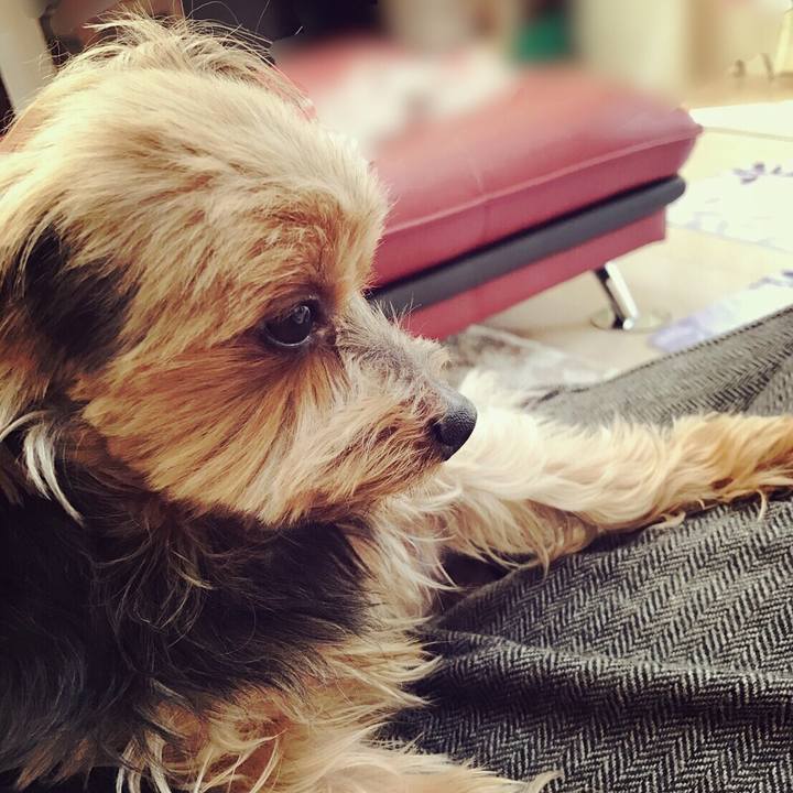 349a20c9 8518 4e05 b9b2 b0911ebd74c4