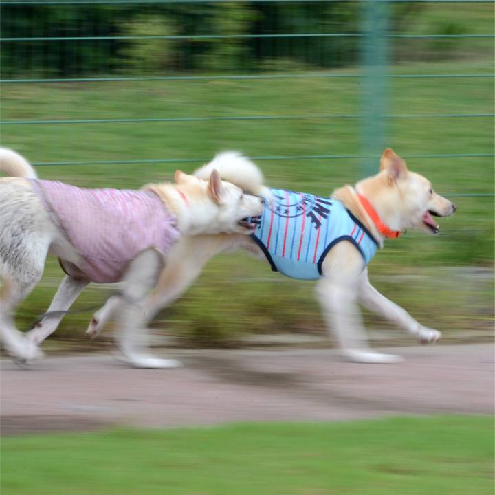 349a6fff 994c 4f7f 8e2d f9a31f5b0e4e