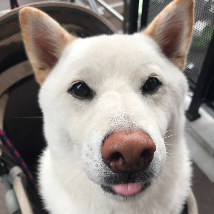 349af74d 66a2 4047 b8bf f74fa2fb98d3