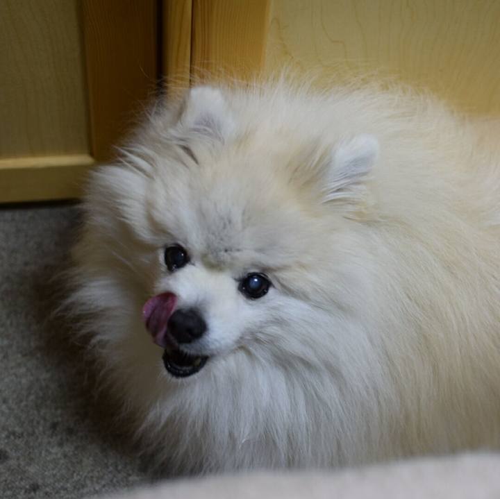 349bd3d7 7e4e 47d8 bbe7 a1ba76626b88