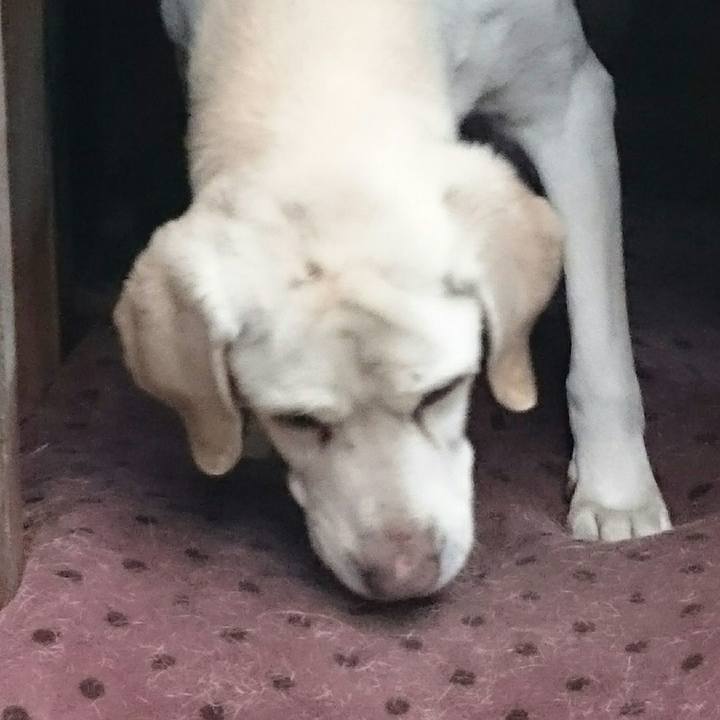 349bf0fd 1a08 4dae a3d7 6e5fdfa6eb05