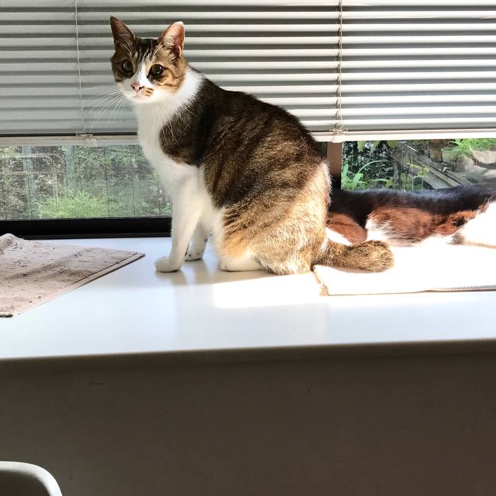 349c3473 e7c4 430e 981e 1305442e3c82