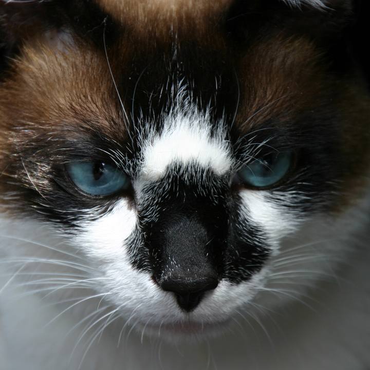 349cac10 1760 4be0 bc55 640e71ac8e71