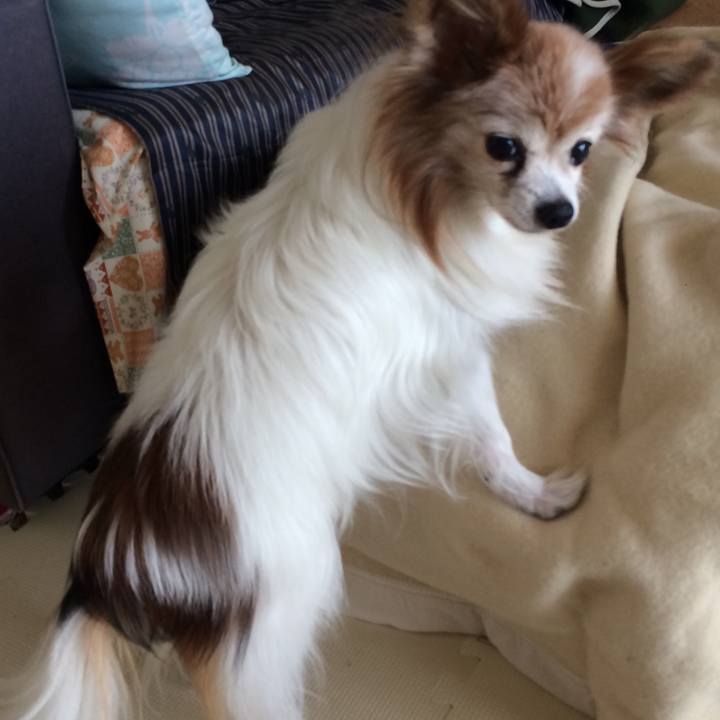 349cb1e6 85e1 44f1 a031 59c5dcd04a62