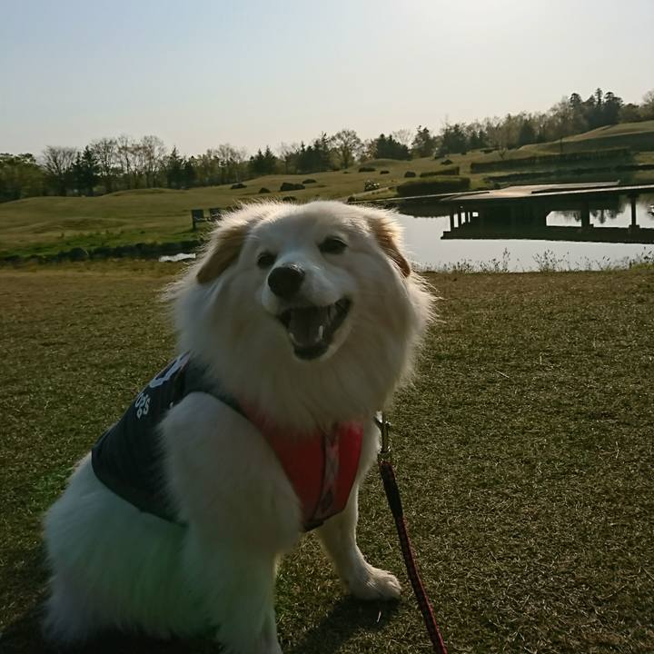 349ce809 54bc 4653 b05f 3f5a3c1f1830