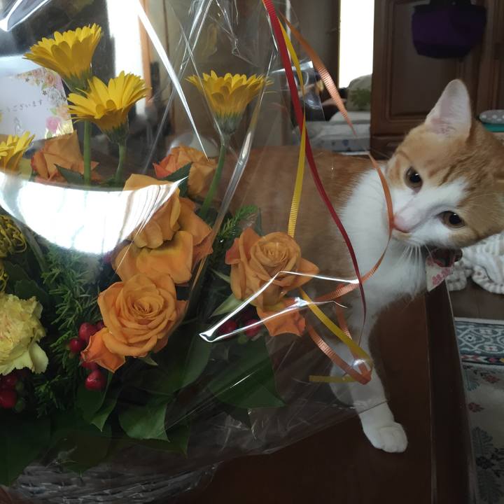 349d8ea3 f2cd 494d a1ff 2b647363e8de