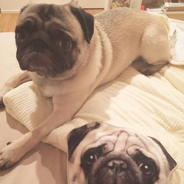 349ee7e1 ec66 4bc6 b4db 13767d3f2c0b