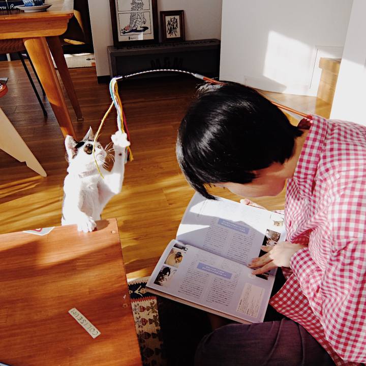 349f3a87 fa8e 479a 8d4d 18c67248bc11