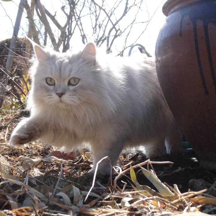 349f691b e8e5 40c8 b874 0d372b90ab4f