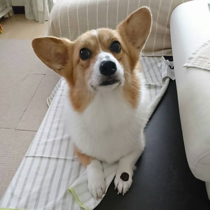 349fa206 806e 4dff a34e a45a7cb558d2