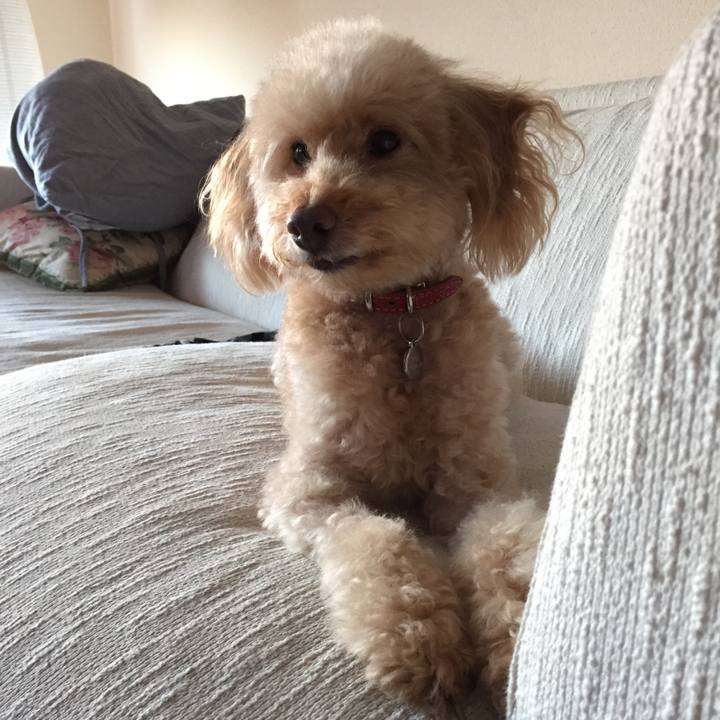 349fff17 7a5a 4eda 83cb c51952d99199