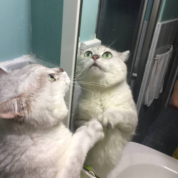 34a01704 42e3 4621 95d6 65e7441afaad