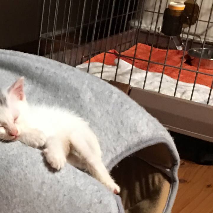 34a0343d d301 4005 9f07 9d8e5d6e0345