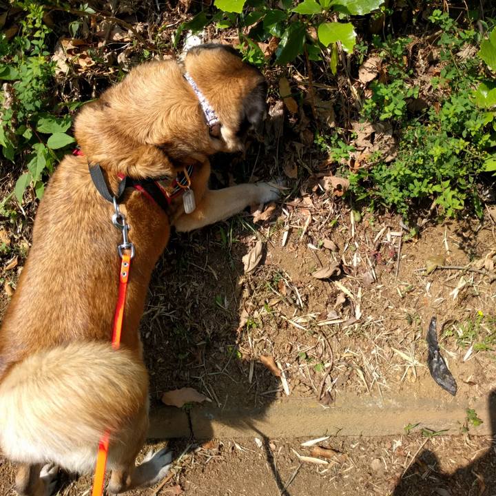 34a06b31 8a69 405a 860b d8bf58cd01f8