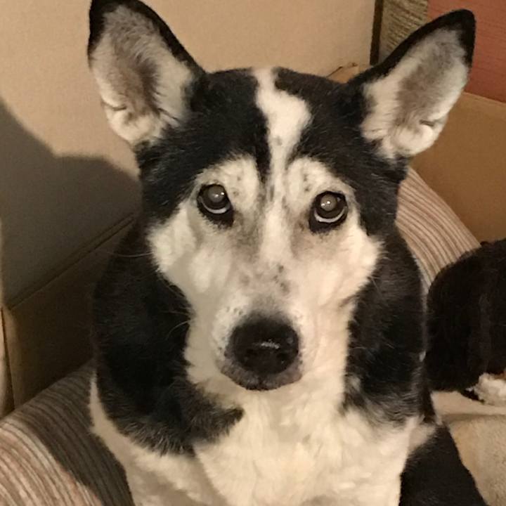 34a092cc 2735 4ae7 a00c a3669e645b8e