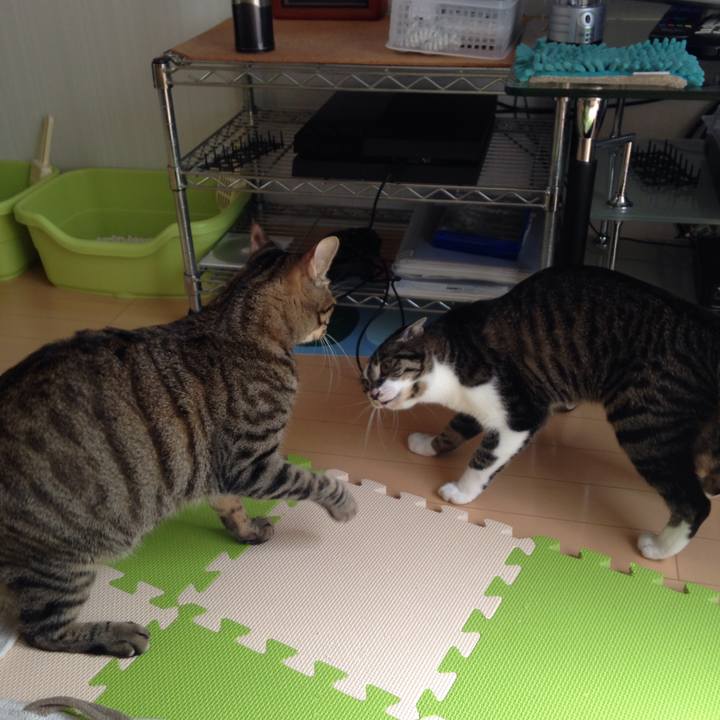 34a19ed3 a353 44e1 be6f 6517e48d2985