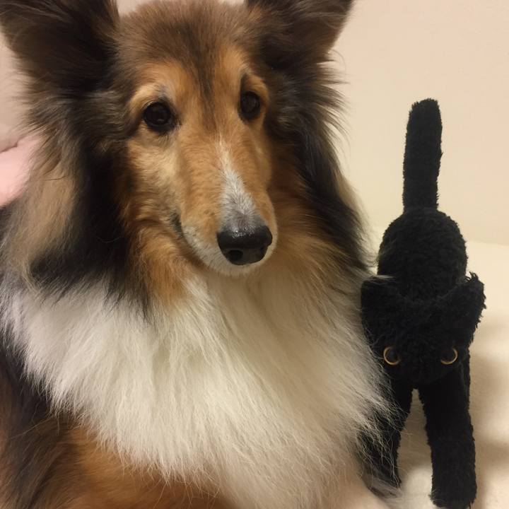 34a1c410 8a50 4621 bf98 3d67ace927aa