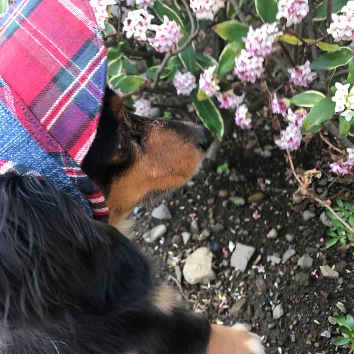 34a1d41b e2d4 472e a77b 6fd24eadd3f5