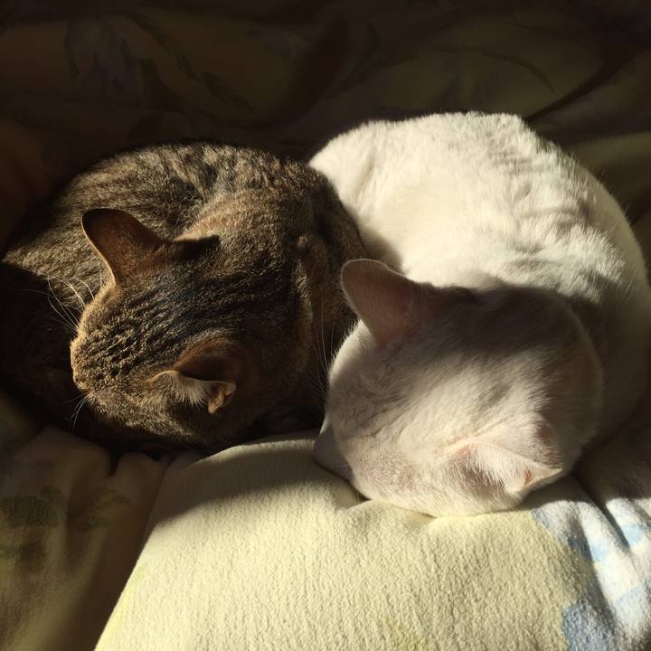 34a2beb2 467d 4c39 8a26 f0eb76b36805