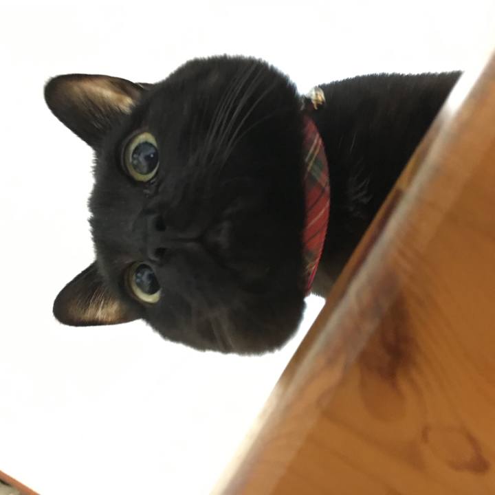 34a2c254 4fe8 4221 ba77 314a8cca5c1d