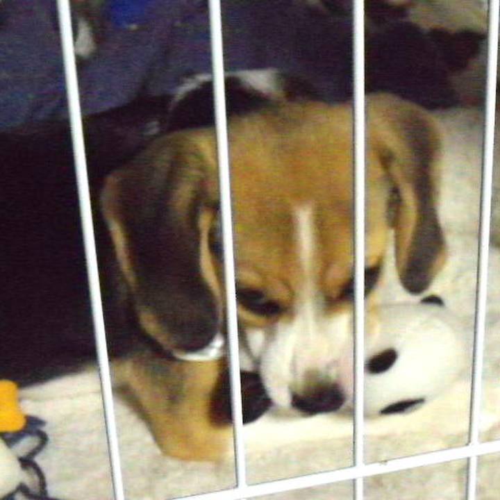 34a3f6fa 4f40 485b bed2 99c4588665d8