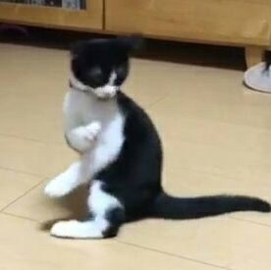 34a4269b 35f3 450e a6ef 30d583cb9b4a