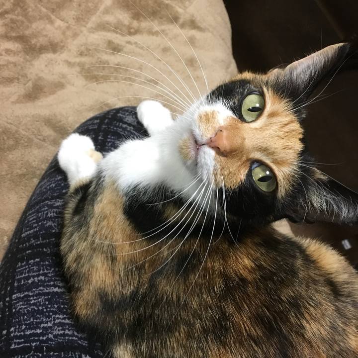 34a482c3 fd9f 4c7c bd74 5006fa7bed12