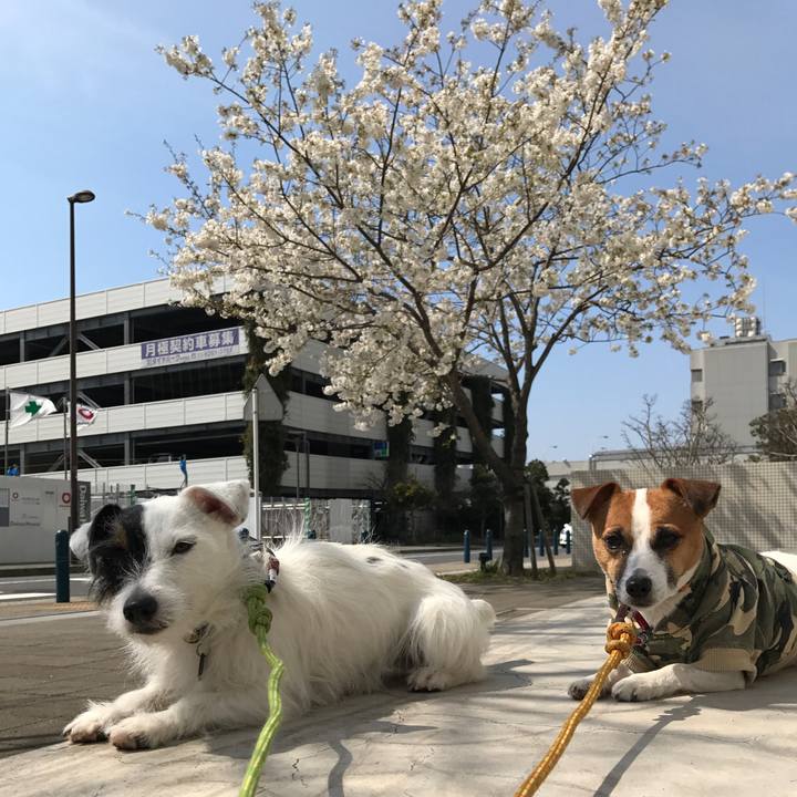 34a50281 b294 49b1 ade9 4acd55ebca4a