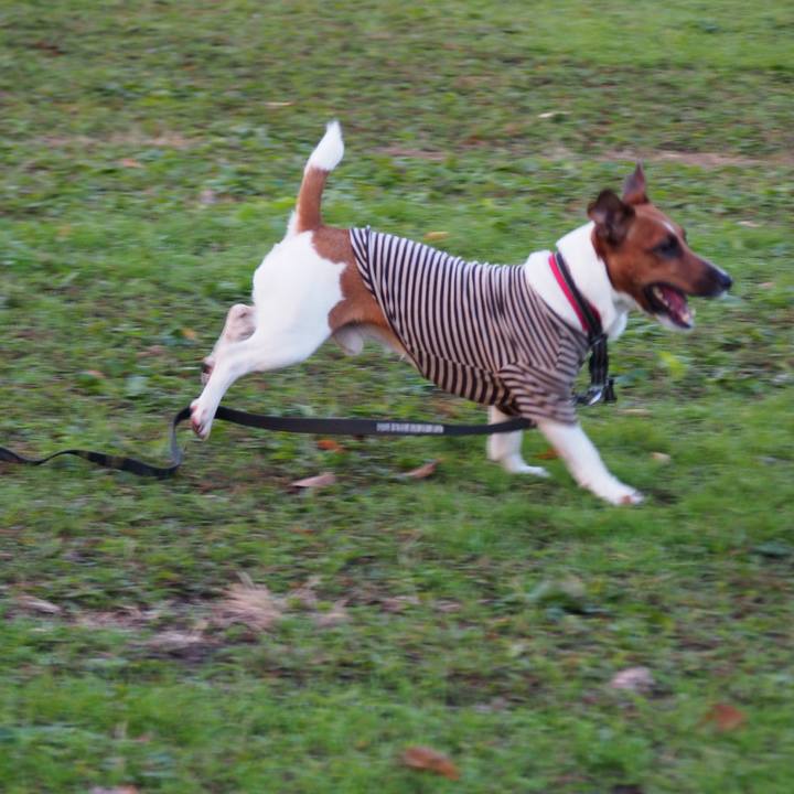 34a5141e 056a 4687 9b94 539a3ab249f6