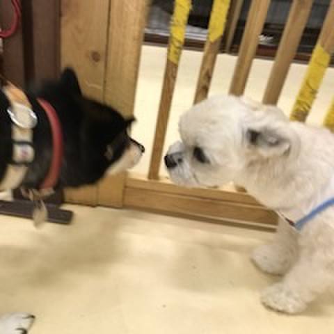 34a58e8f e235 412c 815a ec66da30f33c